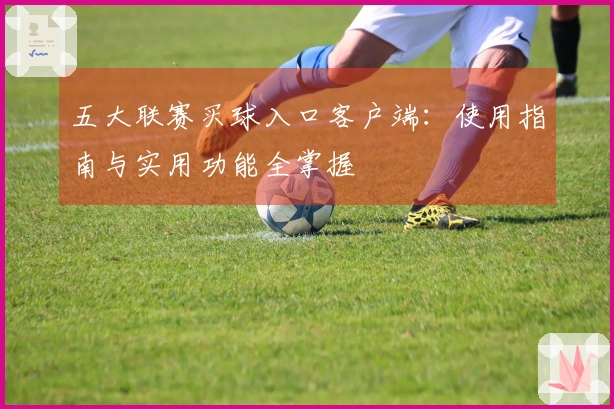 五大联赛买球入口客户端：使用指南与实用功能全掌握