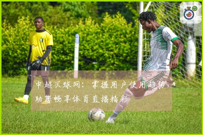 中超买球网：掌握用户使用趋势，助您畅享体育直播精彩