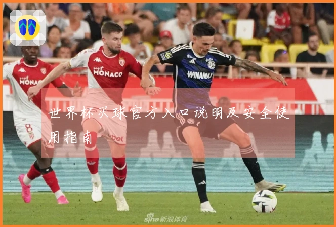 世界杯买球官方入口说明及安全使用指南