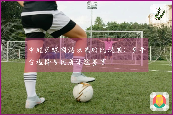 中超买球网站功能对比说明：多平台选择与优质体验鉴赏