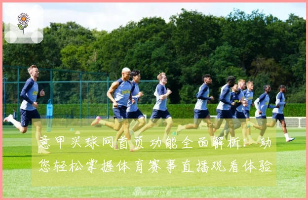 意甲买球网首页功能全面解析：助您轻松掌握体育赛事直播观看体验