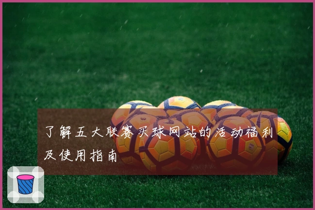 了解五大联赛买球网站的活动福利及使用指南