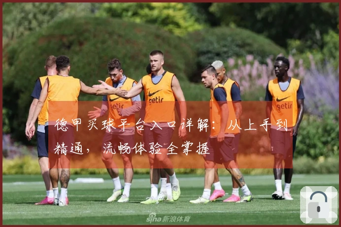 德甲买球平台入口详解：从上手到精通，流畅体验全掌握