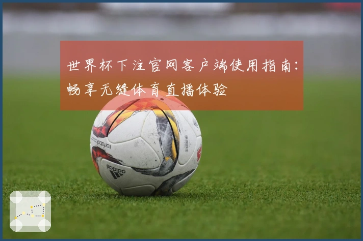 世界杯下注官网客户端使用指南：畅享无缝体育直播体验
