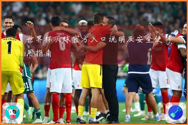世界杯买球官方入口说明及安全使用指南